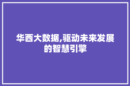 华西大数据,驱动未来发展的智慧引擎