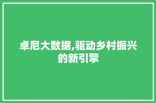 卓尼大数据,驱动乡村振兴的新引擎 友链在线