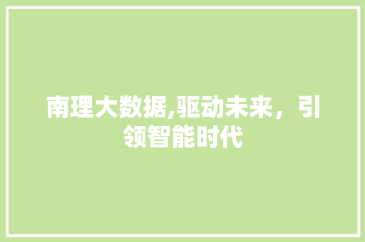 南理大数据,驱动未来，引领智能时代