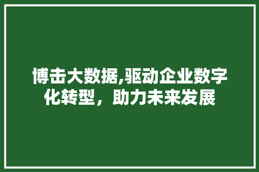 博击大数据,驱动企业数字化转型，助力未来发展