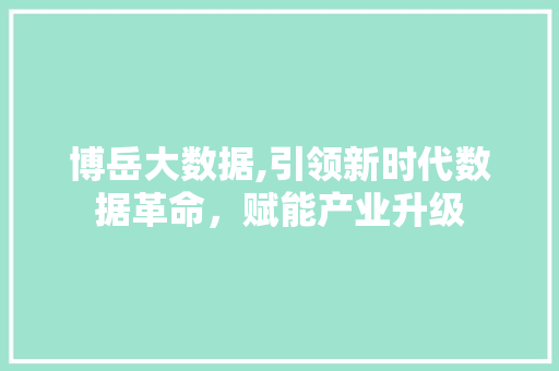 博岳大数据,引领新时代数据革命，赋能产业升级