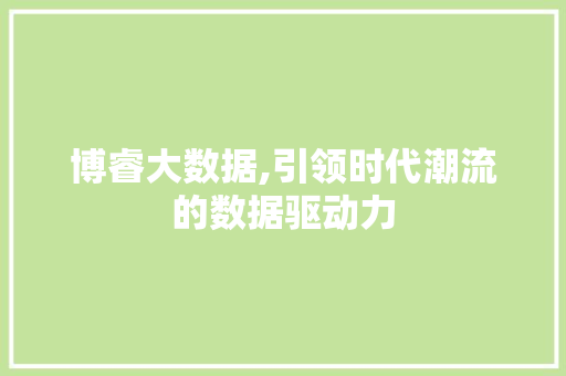 博睿大数据,引领时代潮流的数据驱动力