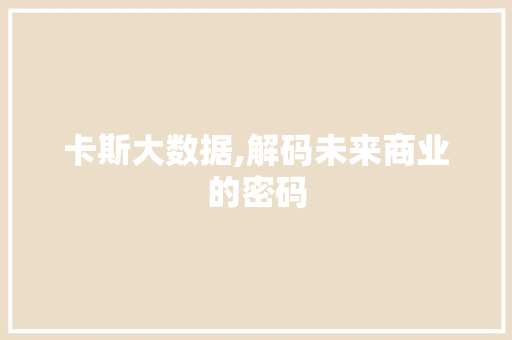 卡斯大数据,解码未来商业的密码 SEO教程