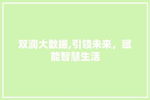 双润大数据,引领未来，赋能智慧生活 WordPress教程