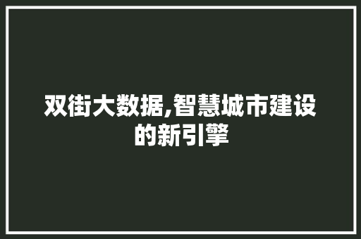 双街大数据,智慧城市建设的新引擎