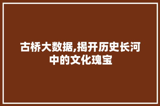 古桥大数据,揭开历史长河中的文化瑰宝 友链在线