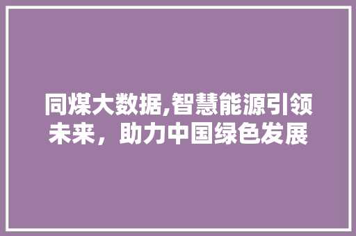 同煤大数据,智慧能源引领未来，助力中国绿色发展