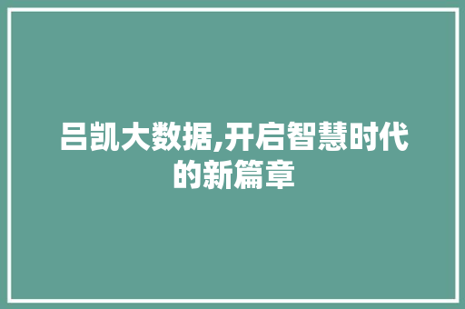 吕凯大数据,开启智慧时代的新篇章 建站教程