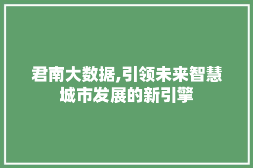 君南大数据,引领未来智慧城市发展的新引擎 建站教程