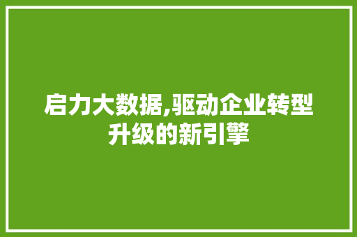 启力大数据,驱动企业转型升级的新引擎