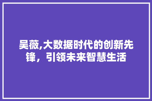 吴薇,大数据时代的创新先锋，引领未来智慧生活 WordPress教程