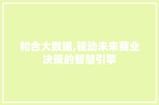 和合大数据,驱动未来商业决策的智慧引擎