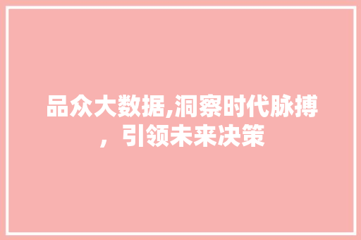 品众大数据,洞察时代脉搏，引领未来决策