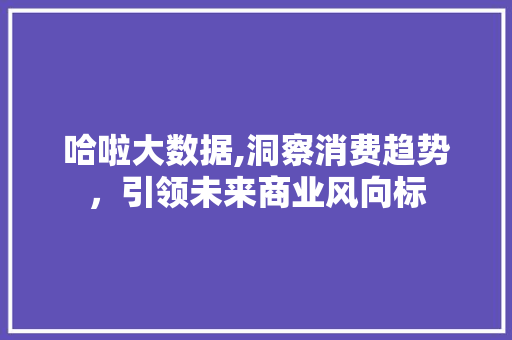 哈啦大数据,洞察消费趋势，引领未来商业风向标