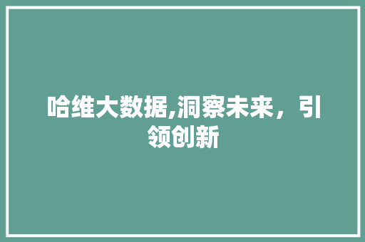 哈维大数据,洞察未来，引领创新 SEO教程