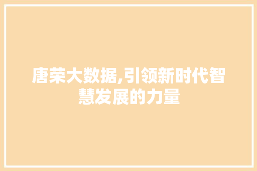 唐荣大数据,引领新时代智慧发展的力量