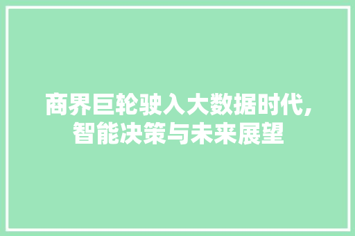 商界巨轮驶入大数据时代,智能决策与未来展望 建站教程