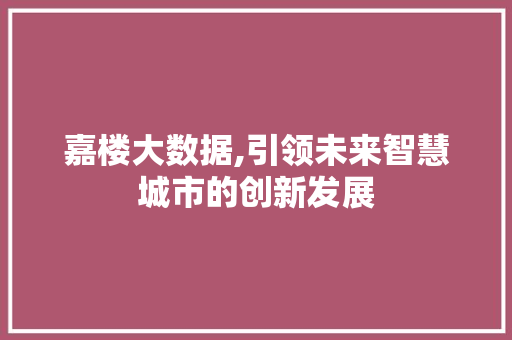 嘉楼大数据,引领未来智慧城市的创新发展