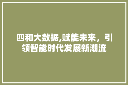 四和大数据,赋能未来，引领智能时代发展新潮流 SEO教程