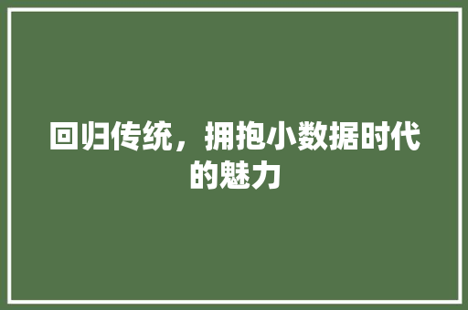 回归传统，拥抱小数据时代的魅力