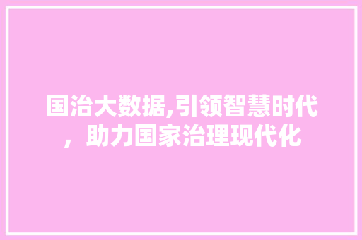 国治大数据,引领智慧时代，助力国家治理现代化