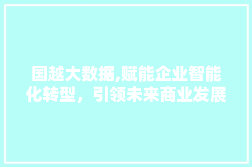 国越大数据,赋能企业智能化转型，引领未来商业发展新潮流 服务器/数据库