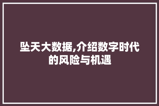 坠天大数据,介绍数字时代的风险与机遇 建站教程
