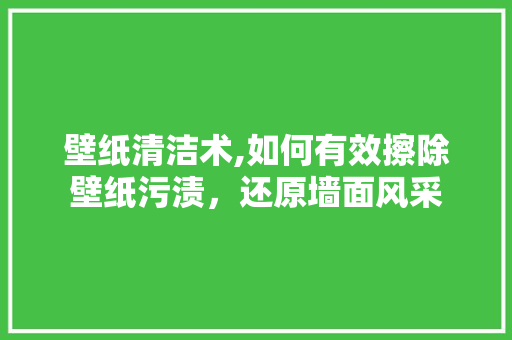 壁纸清洁术,如何有效擦除壁纸污渍，还原墙面风采