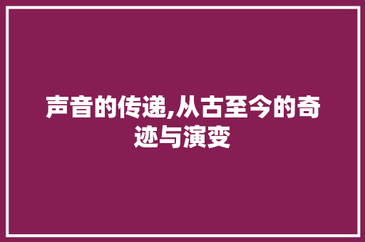 声音的传递,从古至今的奇迹与演变 服务器/数据库