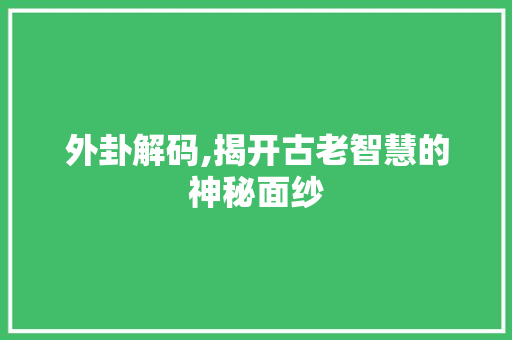 外卦解码,揭开古老智慧的神秘面纱