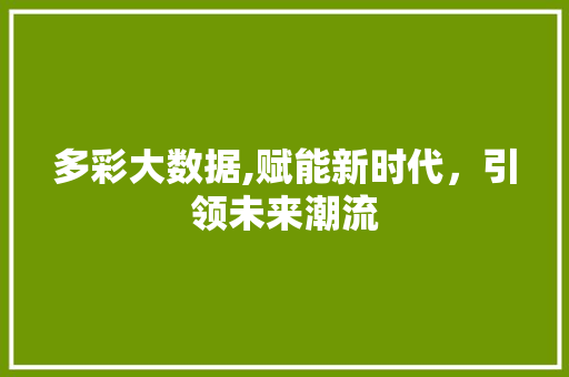 多彩大数据,赋能新时代，引领未来潮流