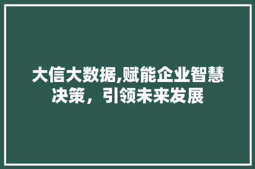 大信大数据,赋能企业智慧决策，引领未来发展 SEO教程