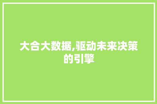 大合大数据,驱动未来决策的引擎