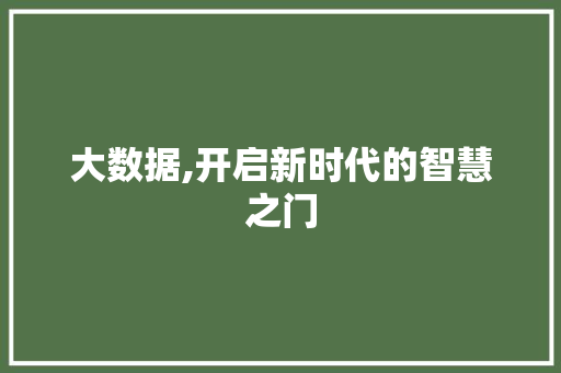 大数据,开启新时代的智慧之门