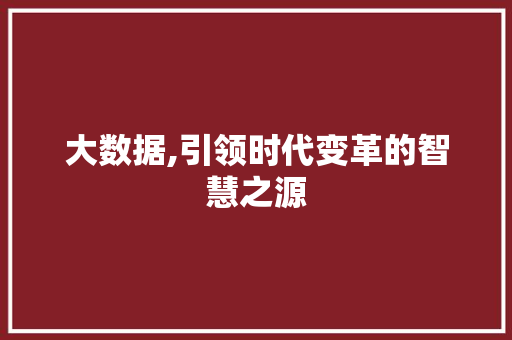 大数据,引领时代变革的智慧之源 建站教程