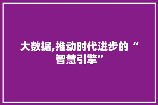 大数据,推动时代进步的“智慧引擎” 服务器/数据库