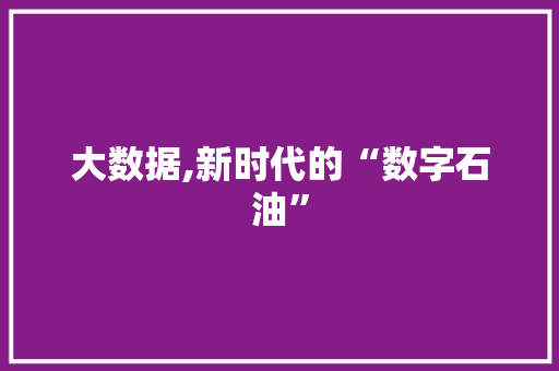 大数据,新时代的“数字石油” 建站教程