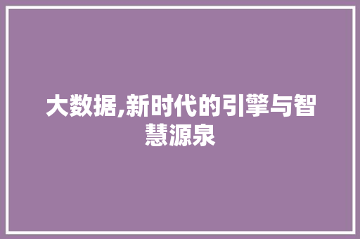 大数据,新时代的引擎与智慧源泉 服务器/数据库