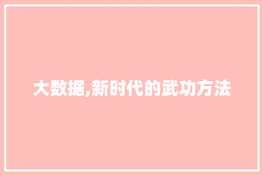 大数据,新时代的武功方法