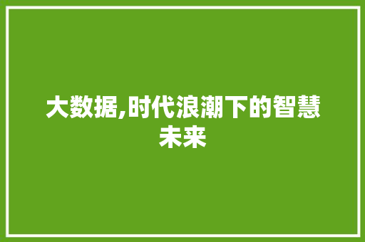 大数据,时代浪潮下的智慧未来