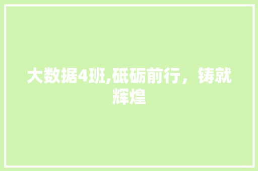 大数据4班,砥砺前行，铸就辉煌 WordPress教程