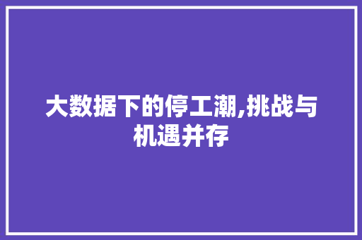 大数据下的停工潮,挑战与机遇并存 Web前端