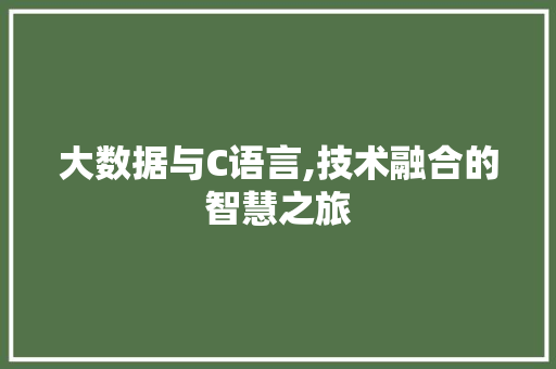 大数据与C语言,技术融合的智慧之旅