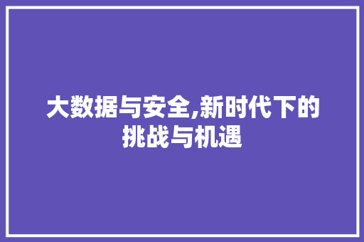 大数据与安全,新时代下的挑战与机遇