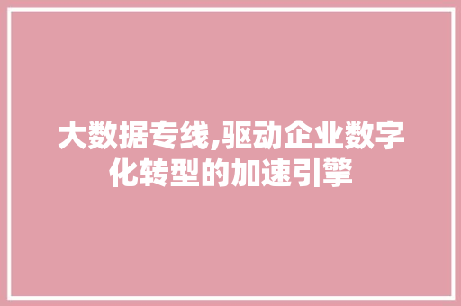 大数据专线,驱动企业数字化转型的加速引擎