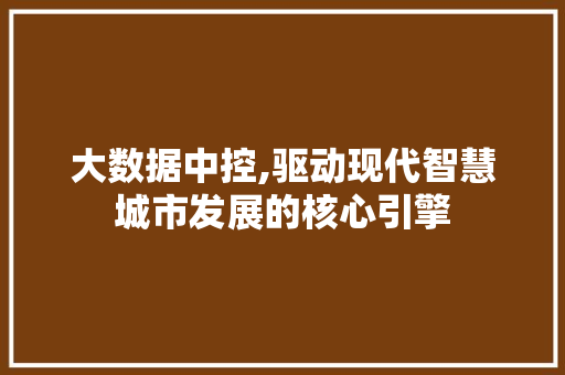 大数据中控,驱动现代智慧城市发展的核心引擎