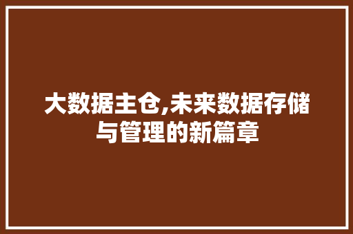 大数据主仓,未来数据存储与管理的新篇章