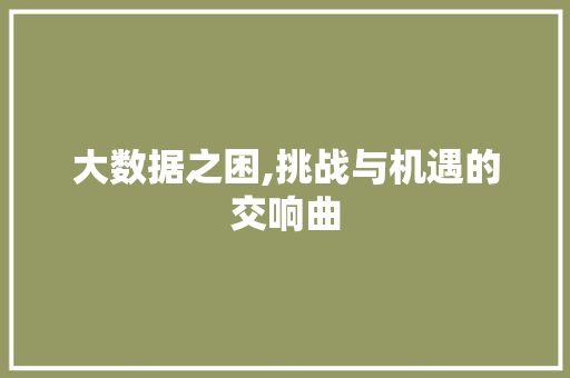 大数据之困,挑战与机遇的交响曲