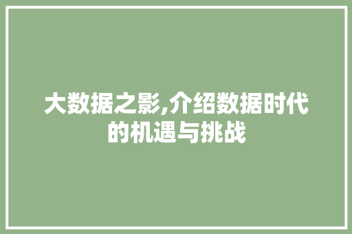 大数据之影,介绍数据时代的机遇与挑战 建站教程
