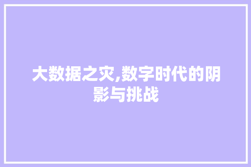 大数据之灾,数字时代的阴影与挑战